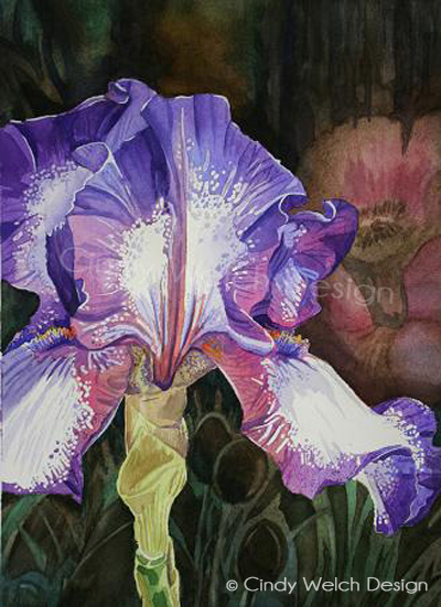 “Iris”