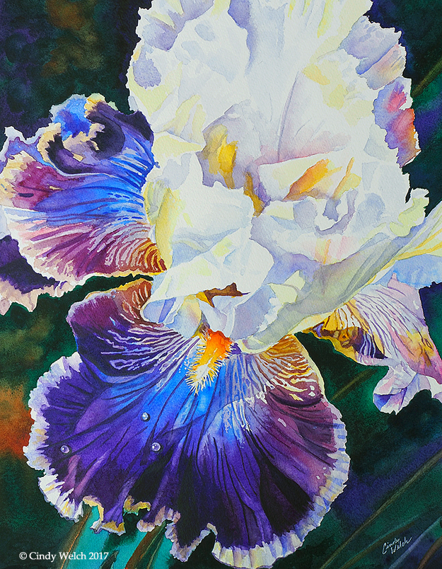 “Purple Iris”